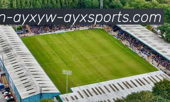 爱游戏发展历程