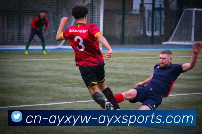 火箭队历年季后赛战绩统计与晋级情况一览